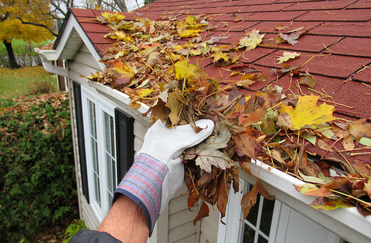 Clogged Gutters